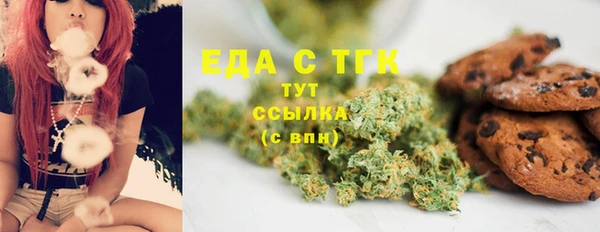 гашик Михайлов