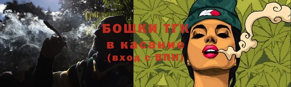 гашик Михайлов