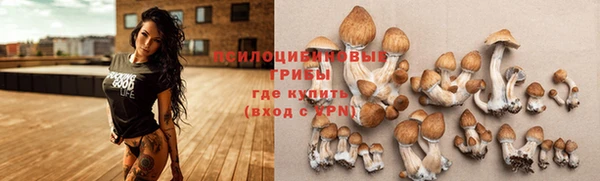 гашик Михайлов