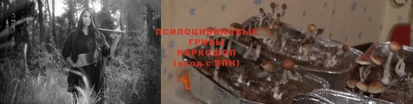 ПСИЛОЦИБИНОВЫЕ ГРИБЫ Михайловск