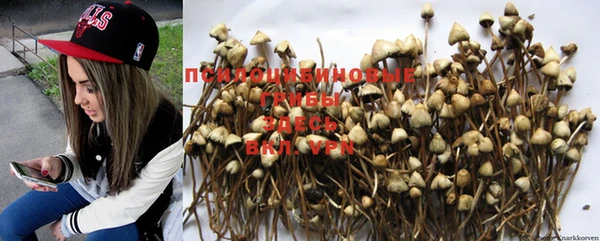 MESCALINE Михайловка