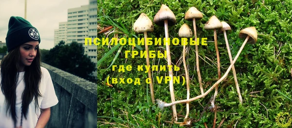 гашик Михайлов