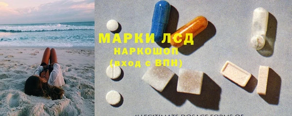ПСИЛОЦИБИНОВЫЕ ГРИБЫ Михайловск