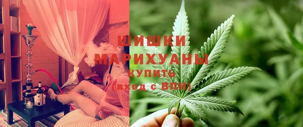 гашик Михайлов
