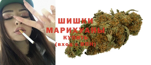 гашик Михайлов