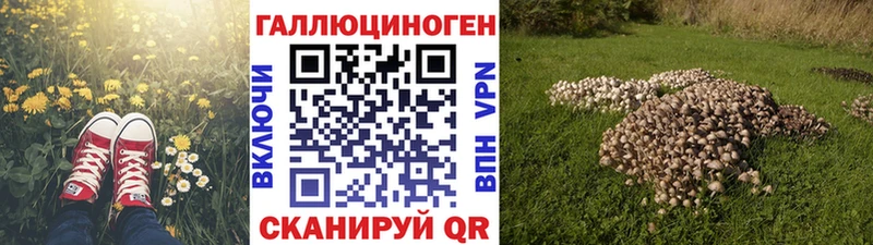 Купить  Балаково  Псилоцибиновые грибы Psilocybe 